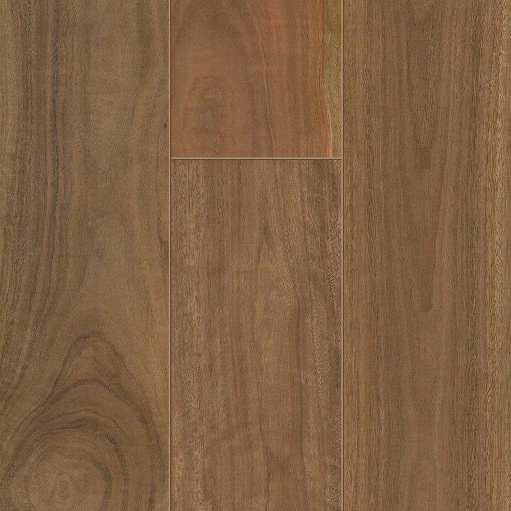 Spotted Gum