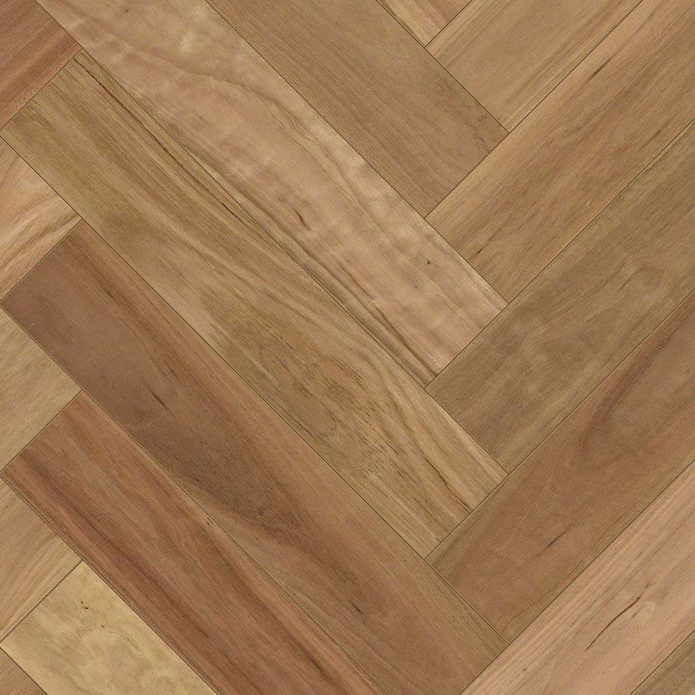 Blackbutt - Image 2