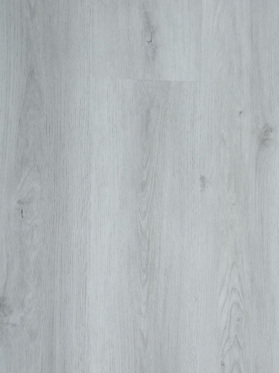 Magnolia(D2103)